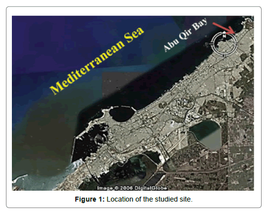 Oceanography-Location