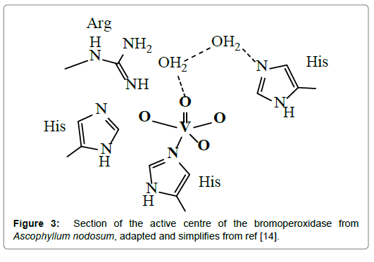 Oceanography-bromoperoxidase