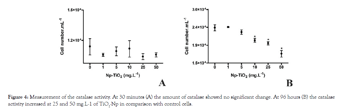 Pollution-Effects-catalase-activity