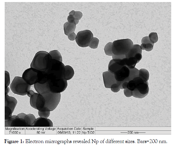 Pollution-Effects-micrographs-revealed