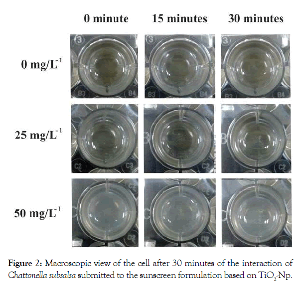 Pollution-Effects-sunscreen-formulation