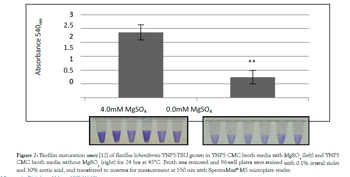 Proteomics-Bioinformatics-Bacillus-licheniformis