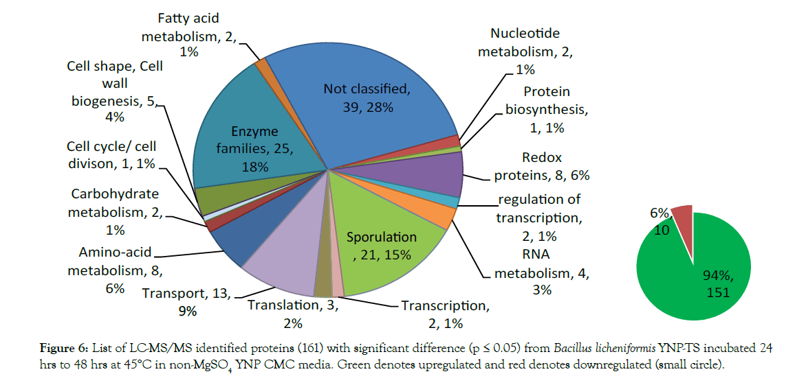 Proteomics-Bioinformatics-Green-upregulated