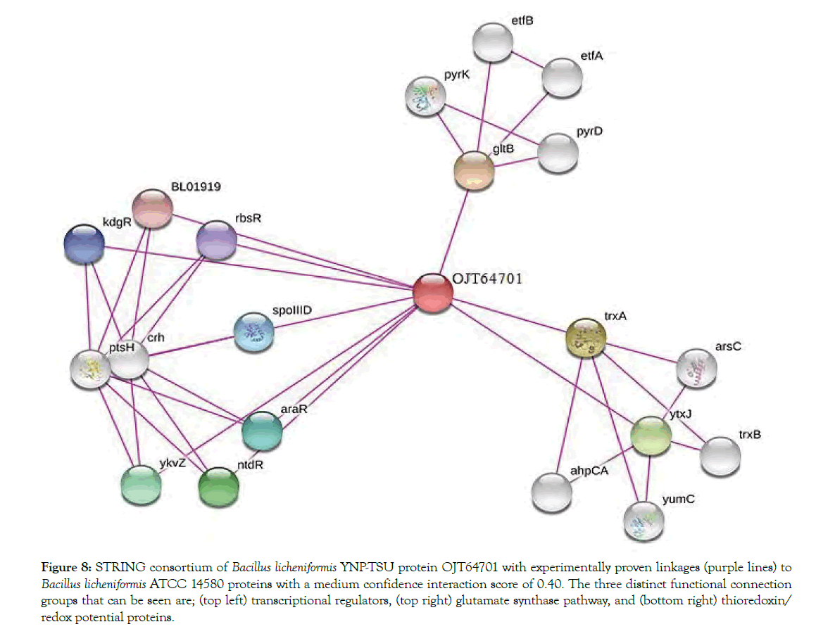 Proteomics-Bioinformatics-interaction-score