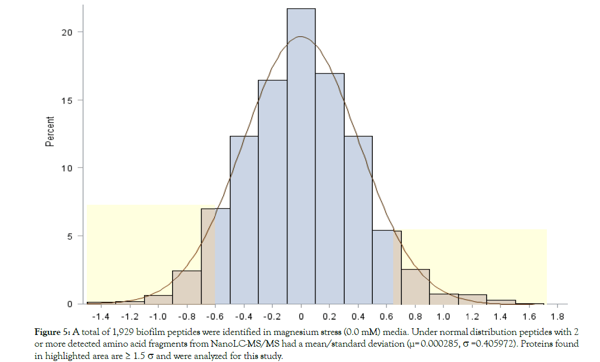 Proteomics-Bioinformatics-magnesium-stress