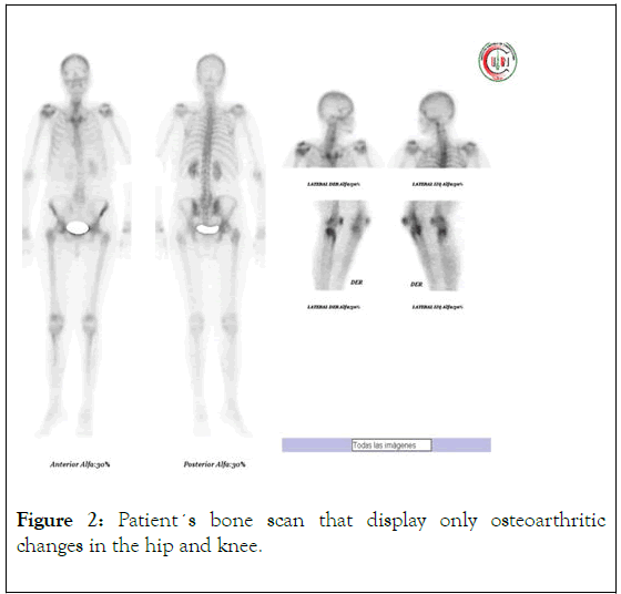 Rheumatology-display