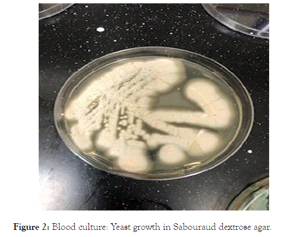 Rheumatology-growth