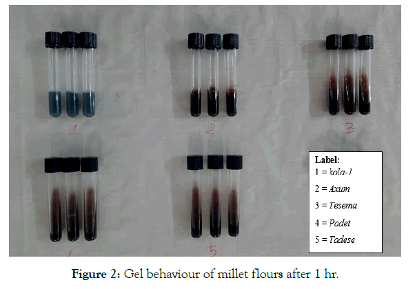 Science-Food-millet-flours