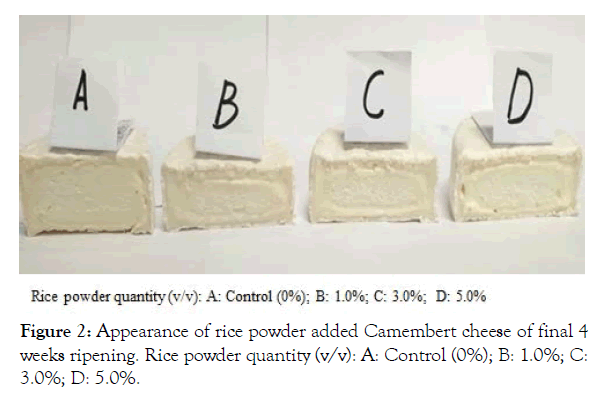 advances-dairy-research-Camembert-cheese