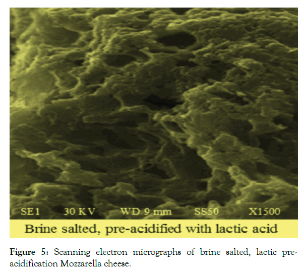 advances-dairy-research-cheese