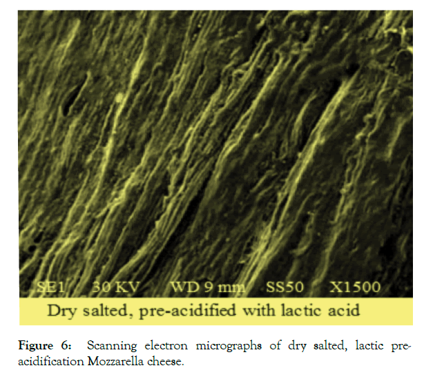 advances-dairy-research-dry-salted