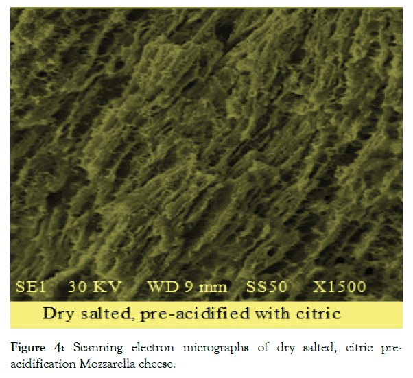 advances-dairy-research-micrographs