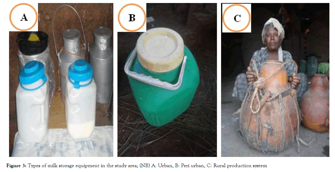 advances-dairy-research-production-system