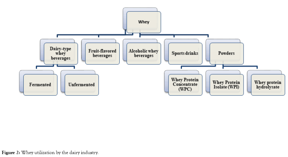 advances-dairy-research-utilization