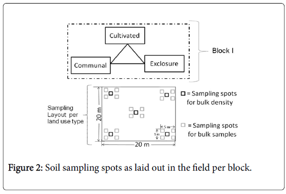 agricultural-science-food-research-Soil-sampling