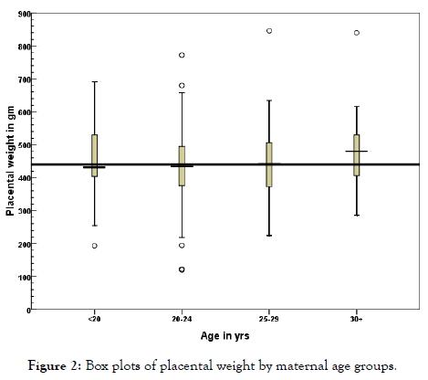 anatomy-physiology-maternal-age