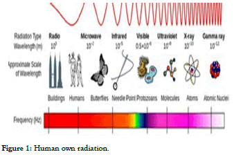 andrology-Human-radiation