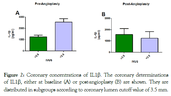 angiology-coronary-angioplasty-lumen