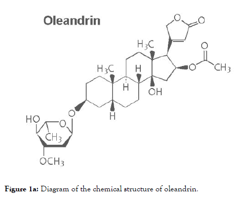 antivirals-antiretrovirals-Diagram