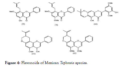 antivirals-antiretrovirals-Flavonoids