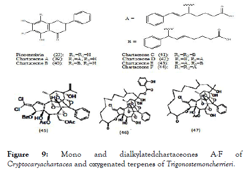 Non Structural Proteases As A Target Of Dengue Virus