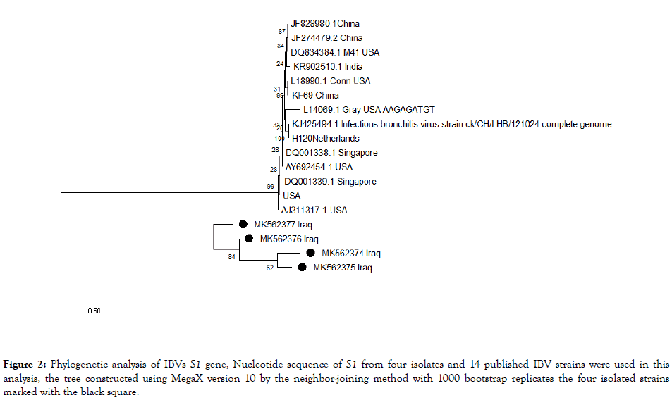 antivirals-antiretrovirals-Phylogenetic-analysis