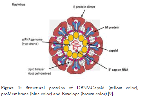 antivirals-antiretrovirals-blue-color