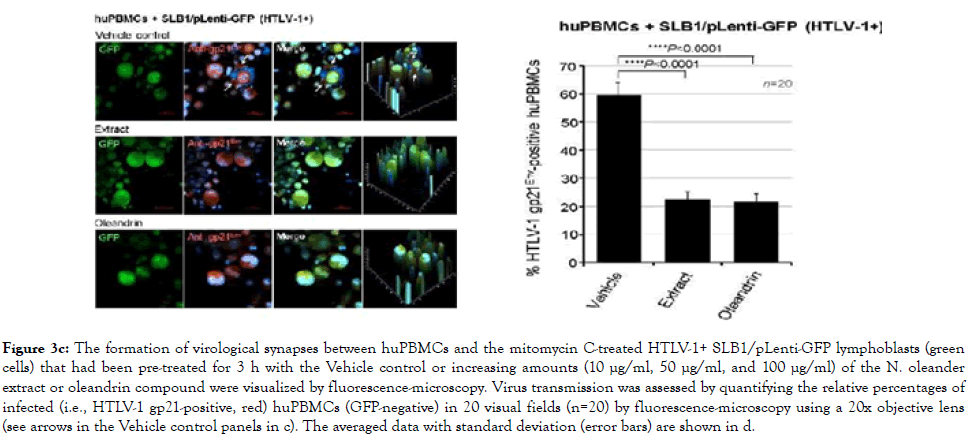 antivirals-antiretrovirals-formation