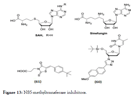 antivirals-antiretrovirals-methyltransferase