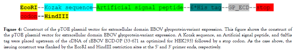 antivirals-antiretrovirals-signal-peptide