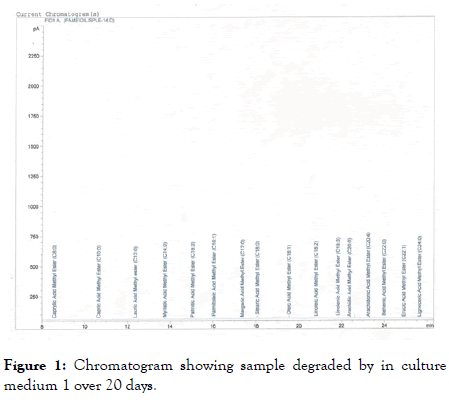 applied-microbiology-Chromatogram