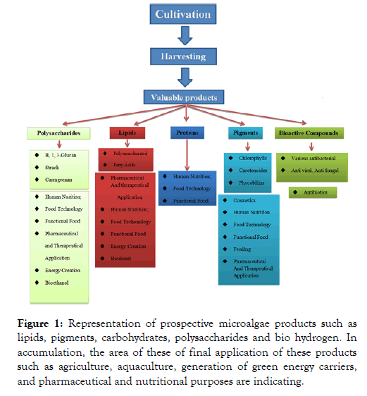 applied-microbiology-microalgae