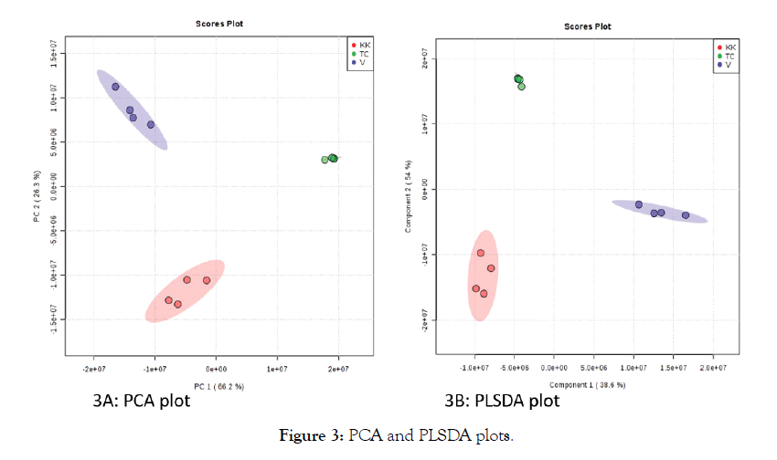 applied-pharmacy-PLSDA-plots