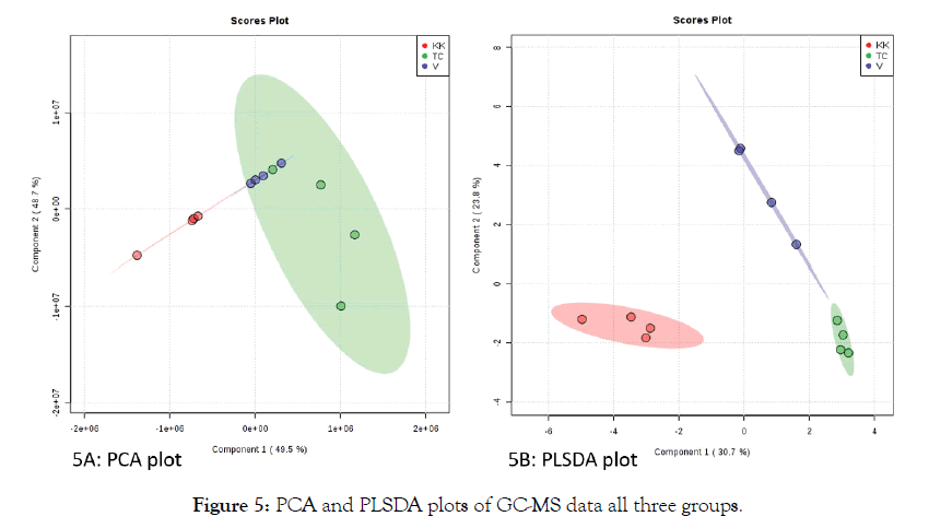 applied-pharmacy-PLSDA-plots