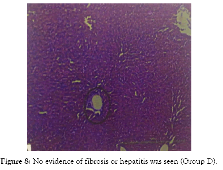 applied-pharmacy-evidence