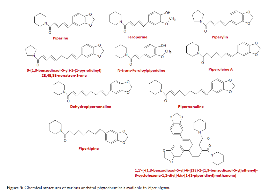 aromatic-plants-antiviral-phytochemicals