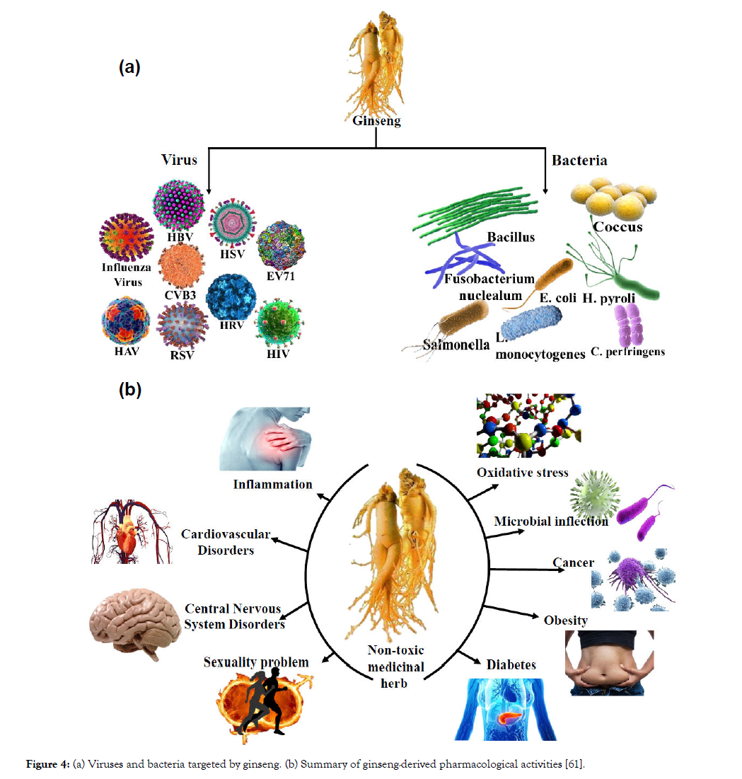 aromatic-plants-ginseng-derived