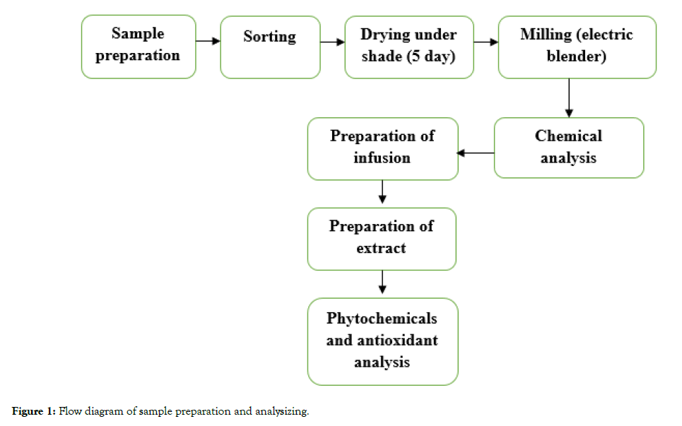 aromatic-plants-sample-preparation