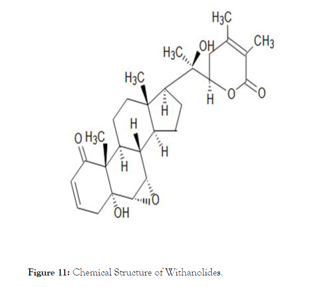 aromatic-plants-withanolides
