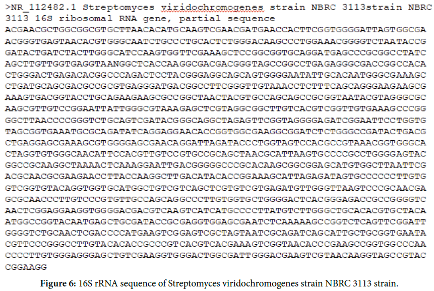 biology-todays-world-Streptomyces