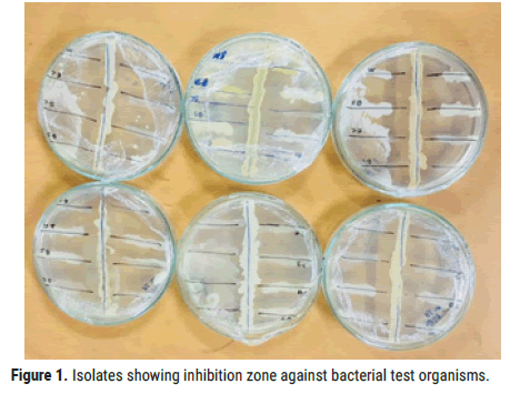 biology-todays-world-bacterial-test-organisms