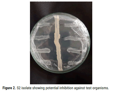 biology-todays-world-potential-inhibition