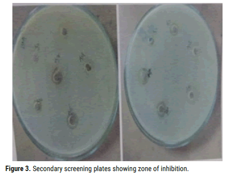 biology-todays-world-screening-plates