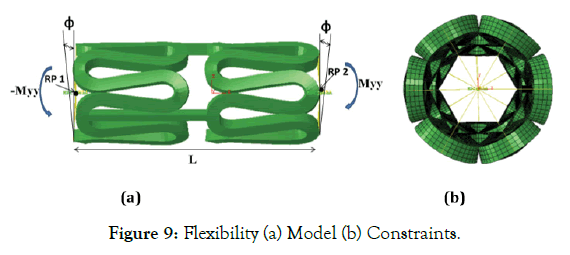 biomedical-engineering-medical-devices-Flexibility-Model