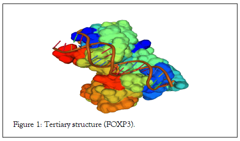 cancer-research-immuno-Tertiary