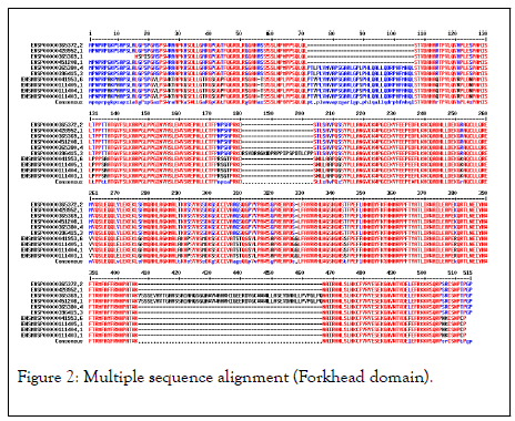 cancer-research-immuno-alignment