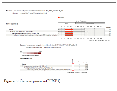 cancer-research-immuno-expression