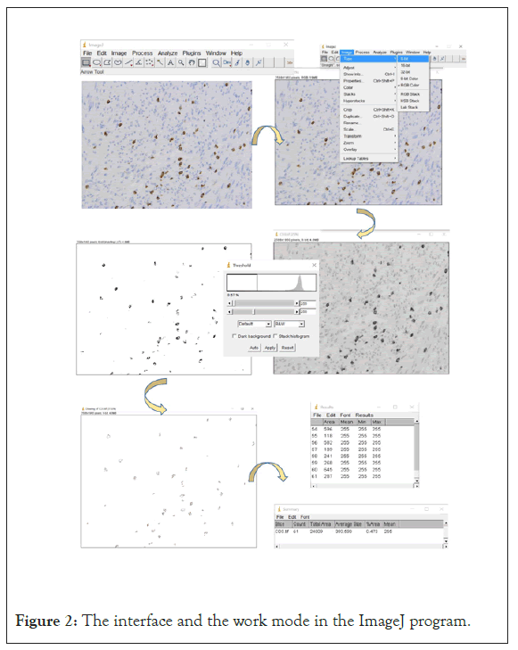 cancer-research-mode