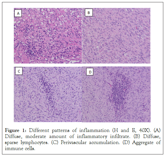 cancer-research-patterns