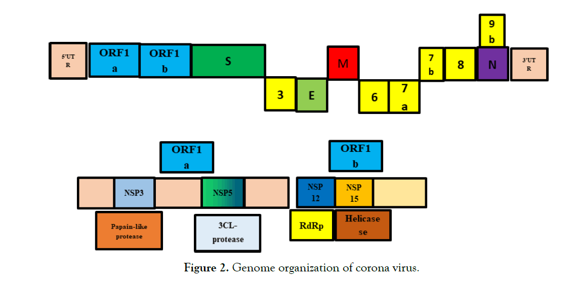 cell-developmental-Genome-virus